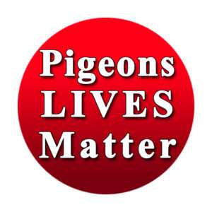 Pigeons Lives Matter